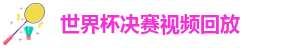 世界杯决赛视频回放